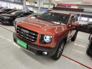 haval dargo 2021 Petrol