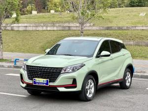 Dongfeng FENGON FENGON 500 2022 Petrol
