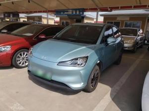 neta v 2022 Electric
