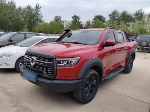 great wall poer 2021 Petrol