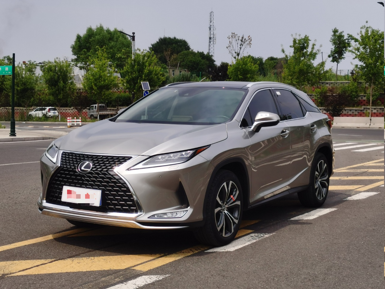 lexus rx 2020 Petrol