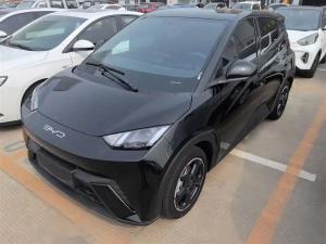 byd seagull 2024 Electric