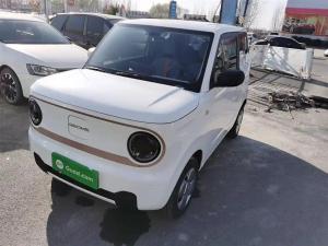 geely panda 2024 Electric