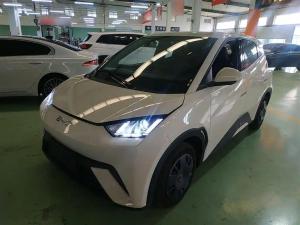 byd seagull 2024 Electric