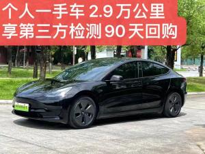 tesla model 3 2023 Electric