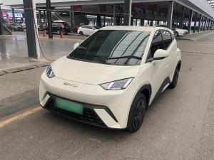 byd seagull 2024 Electric
