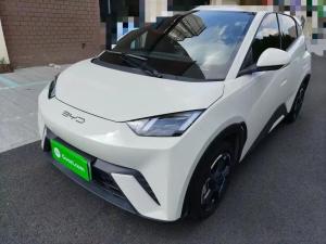 byd seagull 2023 Electric