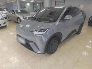 byd seagull 2024 Electric