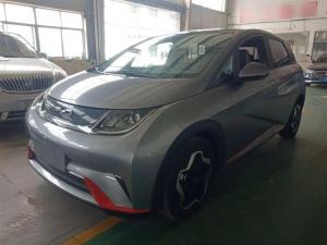 byd dolphin 2022 Electric