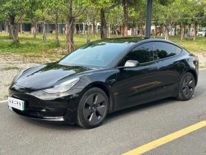 tesla model 3 2021 Electric