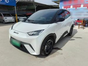 byd seagull 2024 Electric
