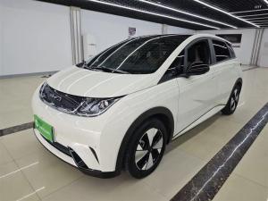 byd dolphin 2023 Electric