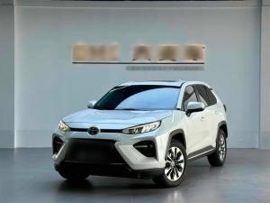 toyota wildlander 2021 Petrol