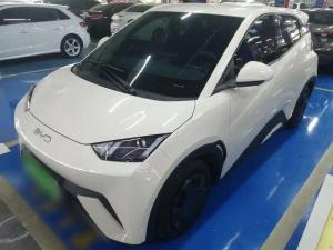 byd seagull 2024 Electric