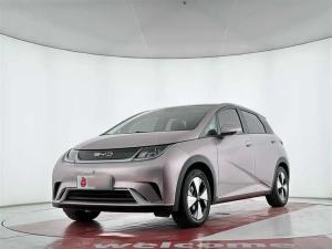 byd dolphin 2023 Electric