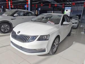 skoda octavia 2023 Petrol