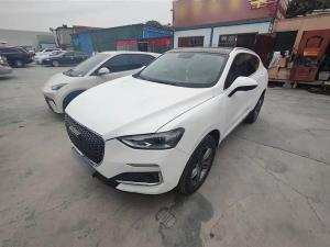 haval f5 2019 Petrol