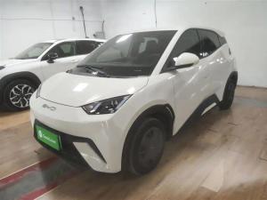 byd seagull 2024 Electric