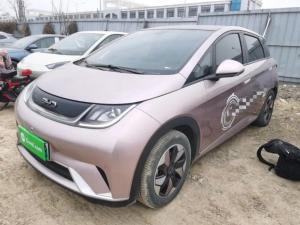 byd dolphin 2024 Electric