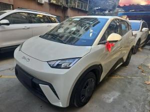 byd seagull 2024 Electric
