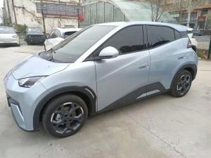 byd seagull 2024 Electric