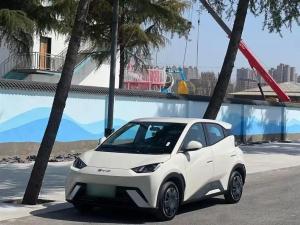 byd seagull 2025 Electric