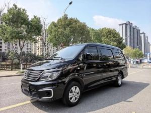 dongfeng forthing lingzhi 2022 Petrol