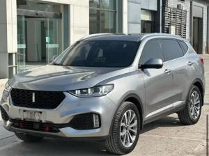 wey vv6 2019 Petrol