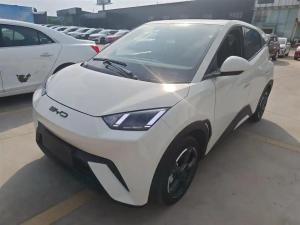 byd seagull 2023 Electric
