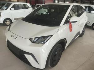 byd seagull 2025 Electric