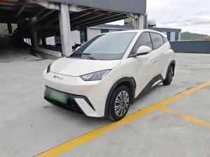 byd seagull 2023 Electric