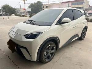 byd seagull 2024 Electric