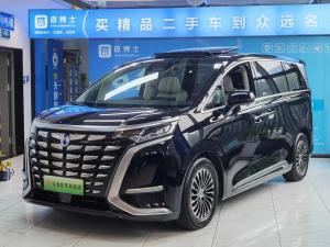 denza d9 2024 Plug-in hybrid