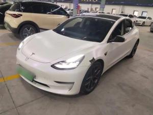 tesla model 3 2021 Electric