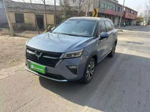 wuling asta 2022 Petrol