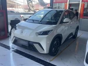 byd seagull 2025 Electric