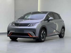 byd dolphin 2022 Electric