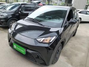 byd seagull 2024 Electric