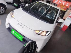 byd seagull 2025 Electric