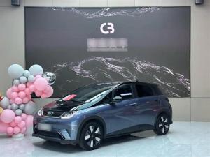 byd dolphin 2024 Electric