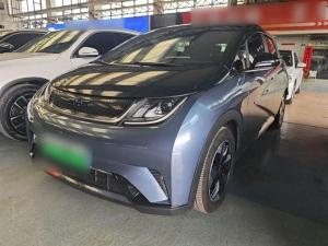 byd dolphin 2024 Electric