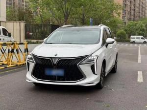 Dongfeng Forthing Forthing Yacht 2022 Petrol