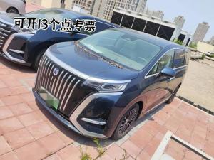 denza d9 2023 Electric