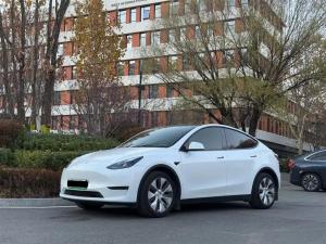 tesla model y 2023 Electric