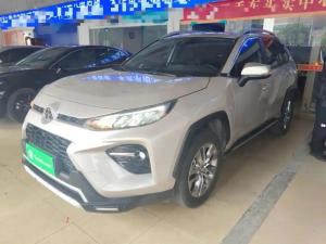 toyota wildlander 2023 Petrol