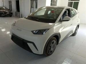 byd seagull 2025 Electric