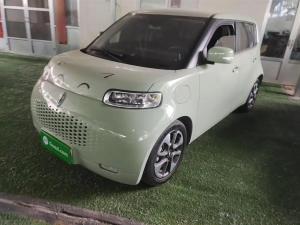 ora white cat 2021 Electric