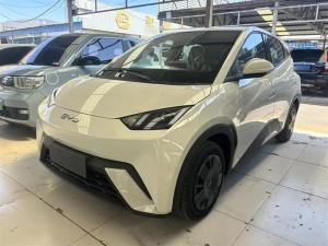 byd seagull 2025 Electric