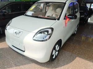 wuling hongguang mini ev 2025 Electric