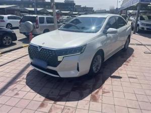 Venucia D60 2021 Petrol